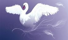 丑小鸭（续写）