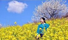 寻找最美的春天