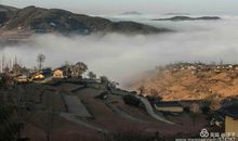 不是每一朵花都在春天开放作文