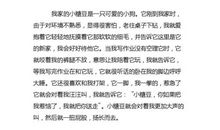 《伴你高飞》观后感