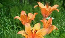 读懂生活中的爱