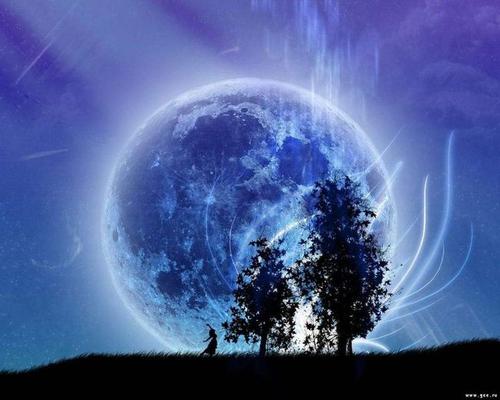 我在想夜晚。