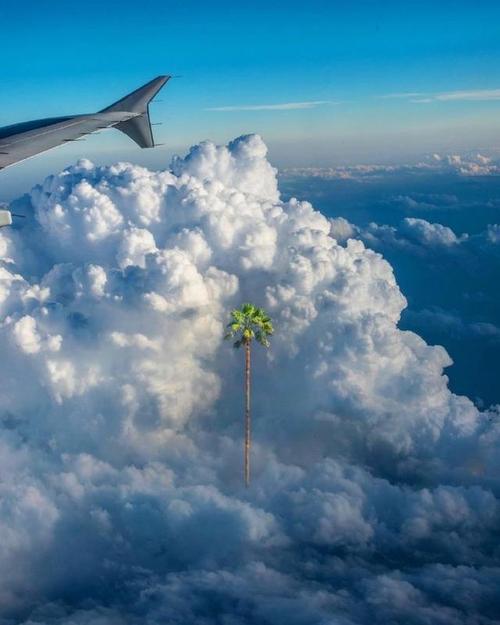 十六岁的天空