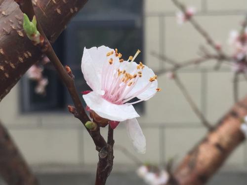 不要在一年中休息，我们成熟