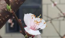 流年不歇我们成熟