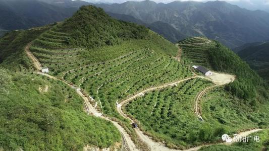 第二次和你在一起