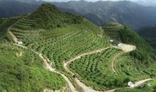 第二次与你同行