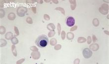 我是一个红细胞