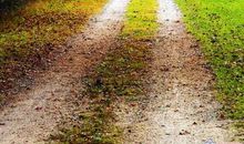 漫漫长路，有你们在