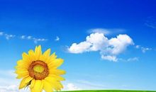 在简单中体会幸福