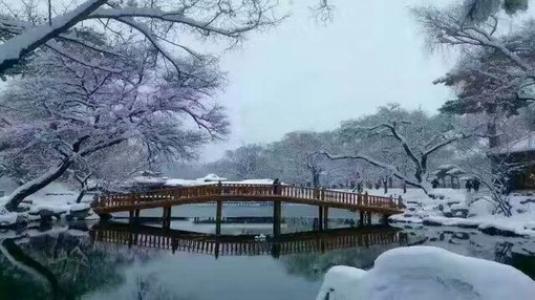 荏苒时光光，