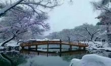 荏苒时光，岁月浓香