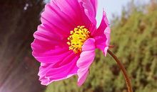 悲欢夹杂的味道