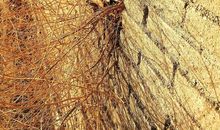 走过长城的一隅