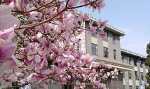 历史若为你倾慕