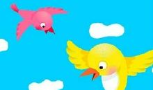 我和那只小鸟的故事