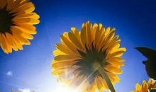 微笑是一缕暖阳