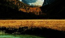 川西之行——古尔沟