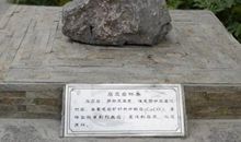 点滴孝心献真情