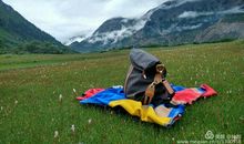 坚守的那份承诺