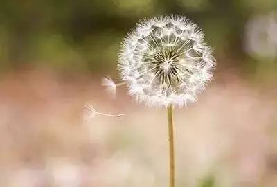 宽容是一种风格