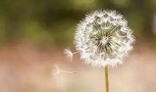 宽容是一种风度