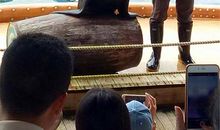 给动物一个自由