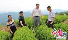 有一种精神叫执着