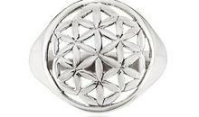 保护好生命之花