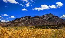 美，是用心看的