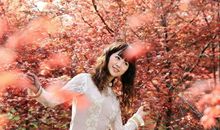 第二次燃起红枫情