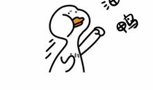 我不后悔的那些事