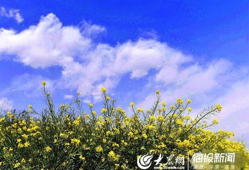 隐藏在春天