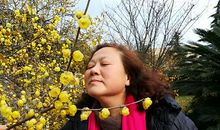 友情是温暖的阳光