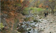 寻找小溪的微笑