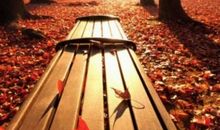 秋天来到了我们身边