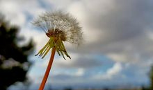 合作是发展的翅膀