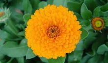 看《最美古诗词》后有感