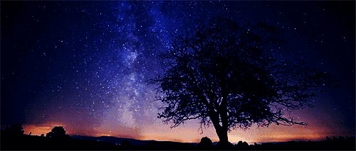 我与流星合同。