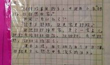 慢慢读懂了你作文