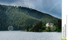 温和的“暴风雨”