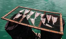 离夏天最近的地方