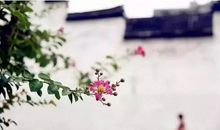 珍惜平淡中的真情