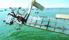 朝着梦想，振翅高飞——圆中国梦，从我做起