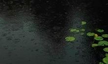 乡村夜雨入梦来