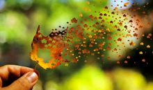 瞬间的定格成永恒