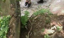 磨炼成就精彩——给尼·奥斯特洛夫斯基的一封信