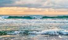 我曾走过一片海