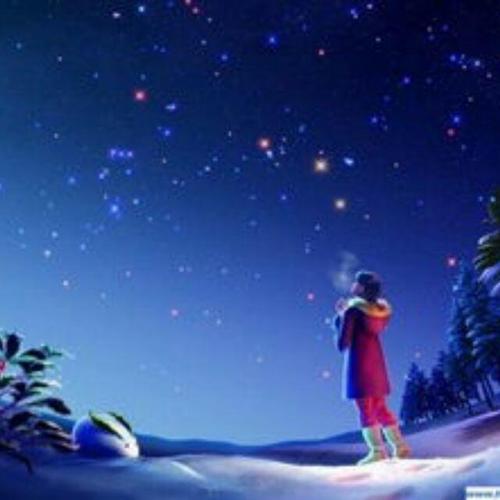 如流星