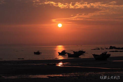 在夕阳下喝醉了